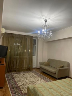 Apartment Zhana in the center